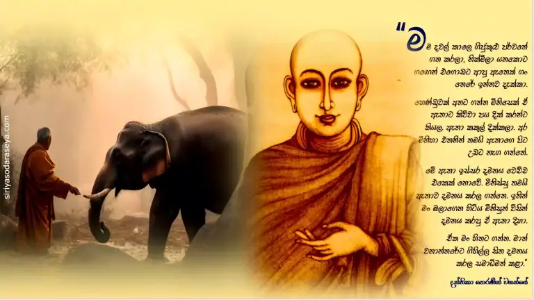 දන්තිකා_ තෙරණින් _වහන්සේ