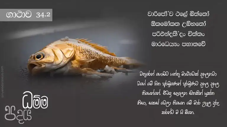 ධම්ම-පදය-ගාථාව-34-2