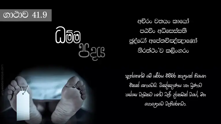 ධම්ම-පදය-ගාථාව-41-9