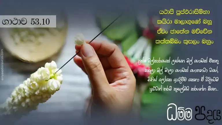 ධම්ම-පදය-ගාථාව-53-10