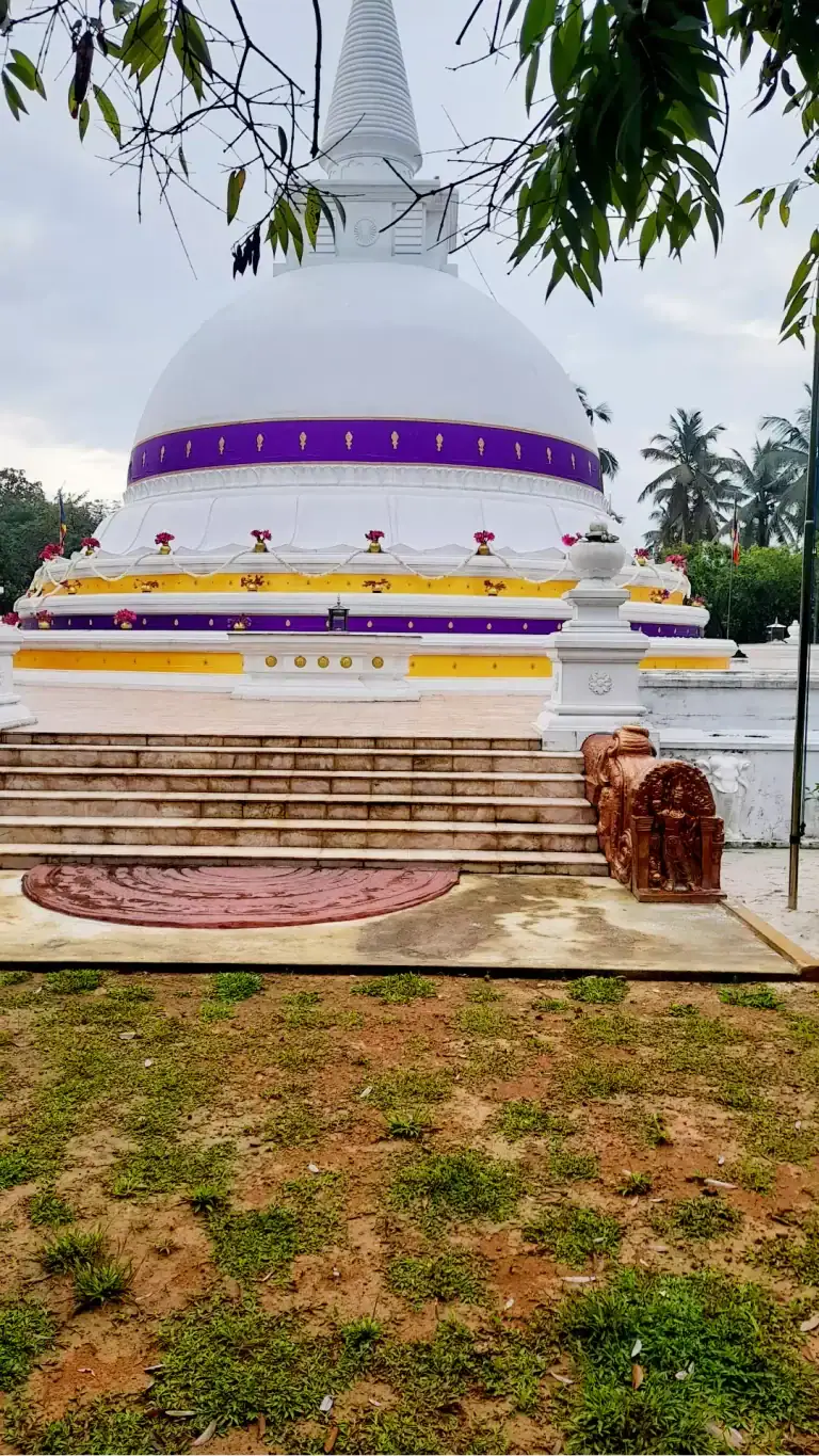 yashodara-seya-01234